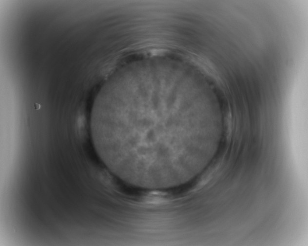 X0000099930222200805231237