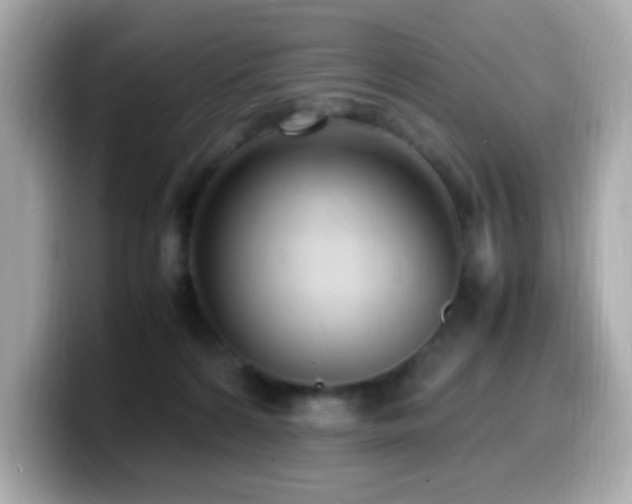 X0000099930224200805231237