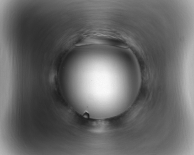 X0000099930225200805231237