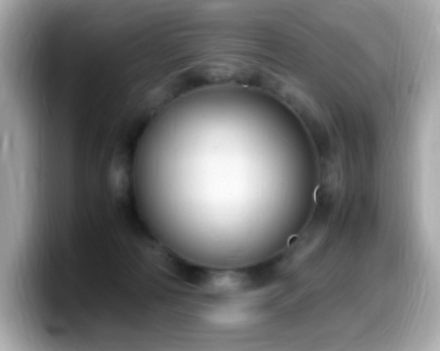 X0000099930226200805231237