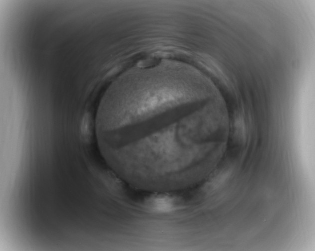 X0000099930228200805231237