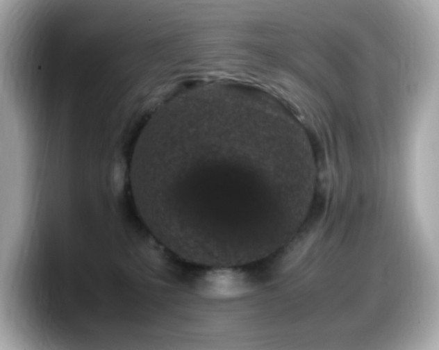 X0000099930231200805231237