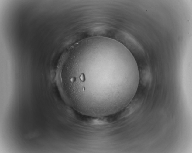 X0000099930232200805231237