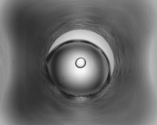 X0000099930233200805231237