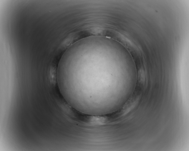 X0000099930234200805231237