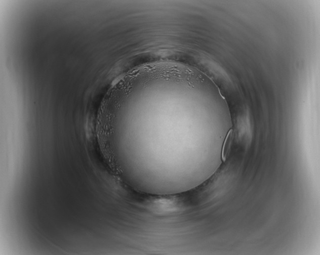 X0000099930236200805231237