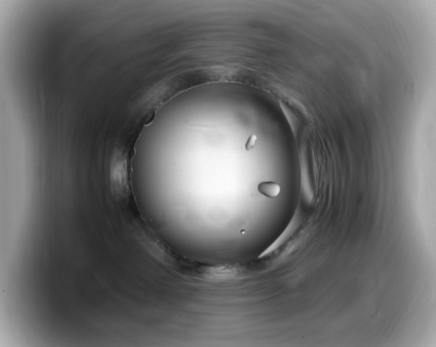 X0000099930238200805231237