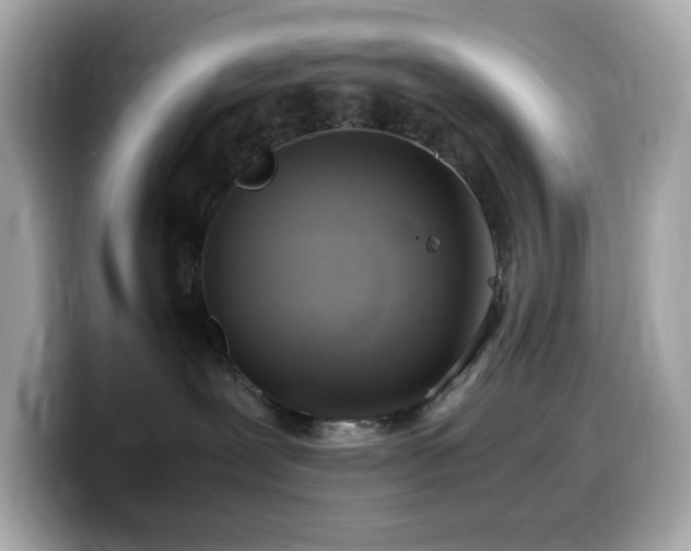 X0000099930239200805231237