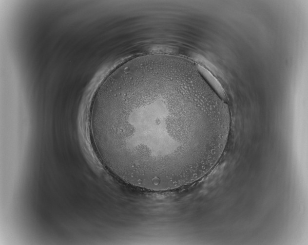 X0000099930241200805231236