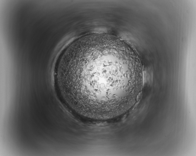 X0000099930243200805231236