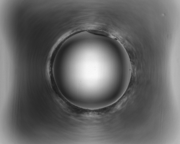 X0000099930244200805231236