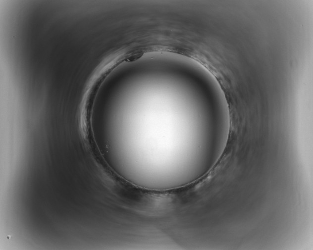 X0000099930245200805231236