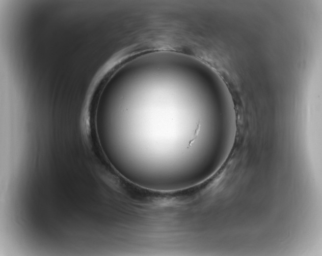 X0000099930246200805231236