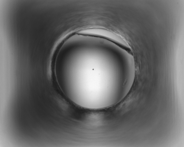 X0000099930248200805231236