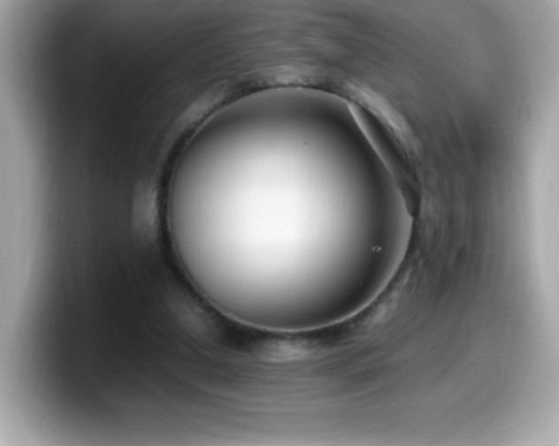 X0000099930250200805231236