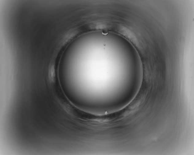 X0000099930251200805231236