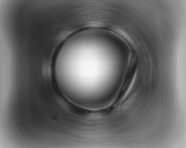 X0000099930252200805231236