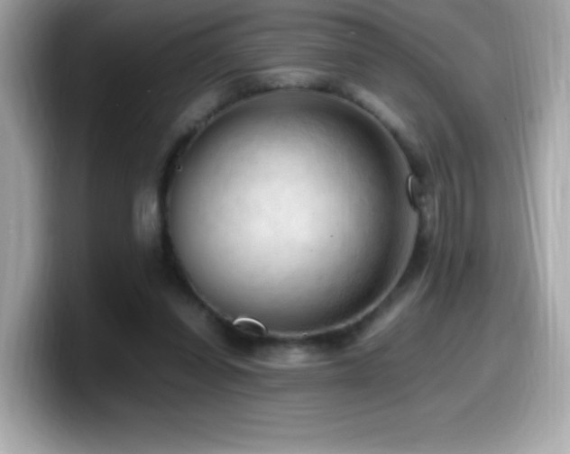 X0000099930254200805231236