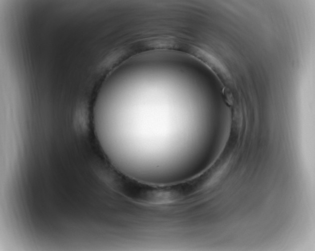 X0000099930255200805231236