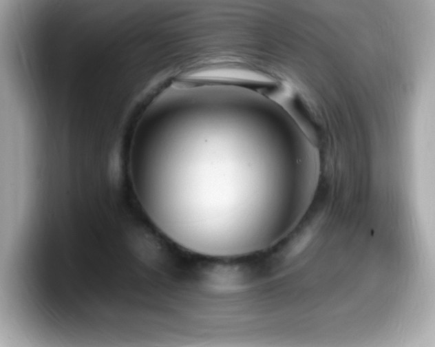 X0000099930256200805231236