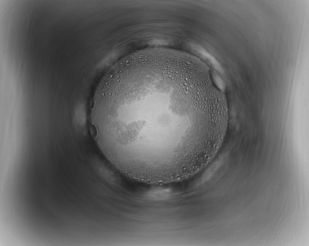 X0000099930257200805231236