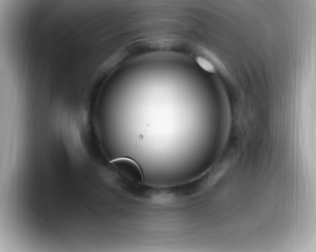 X0000099930258200805231236