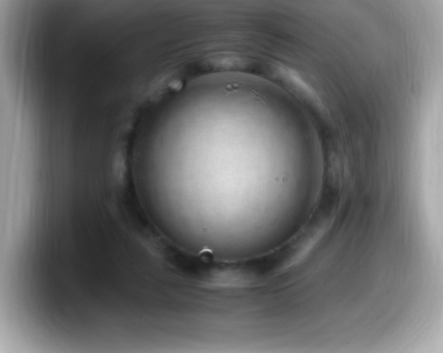 X0000099930259200805231236