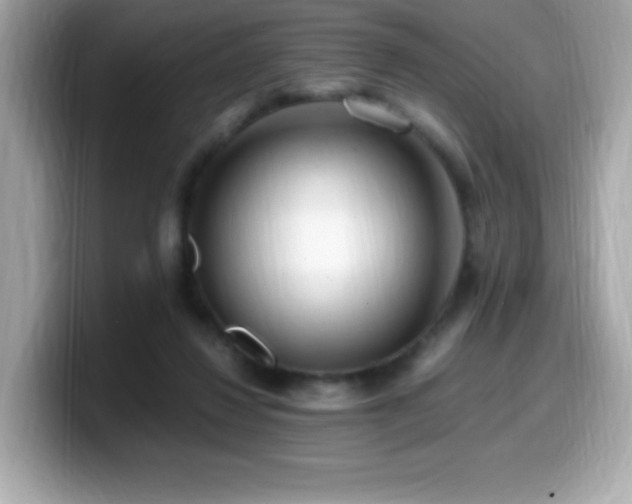 X0000099930260200805231236