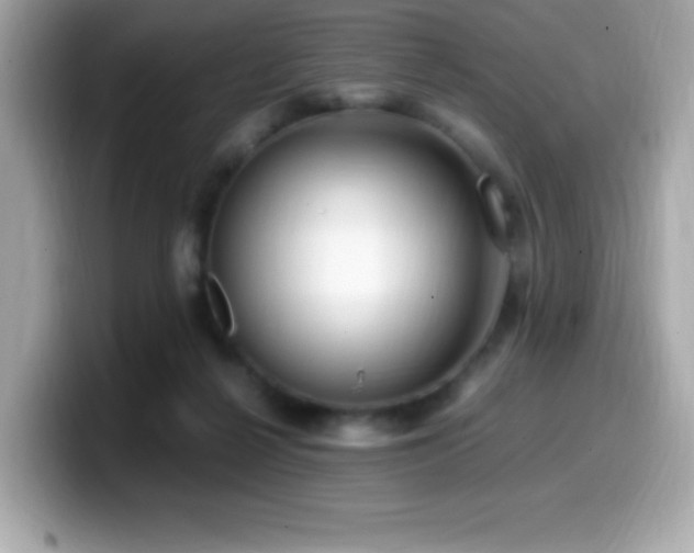 X0000099930264200805231237