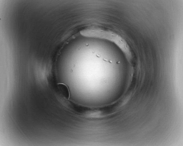 X0000099930266200805231237