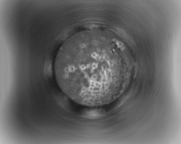 X0000099930267200805231237