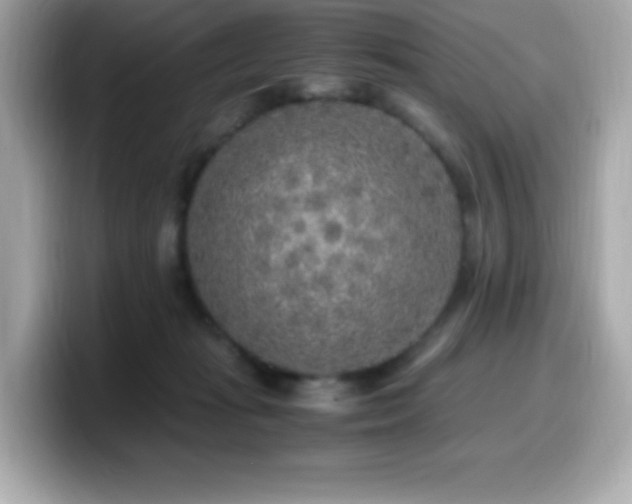 X0000099930269200805231237