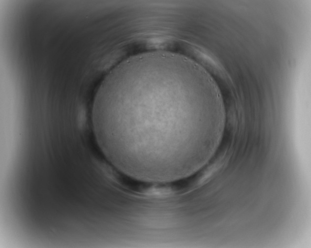 X0000099930270200805231237