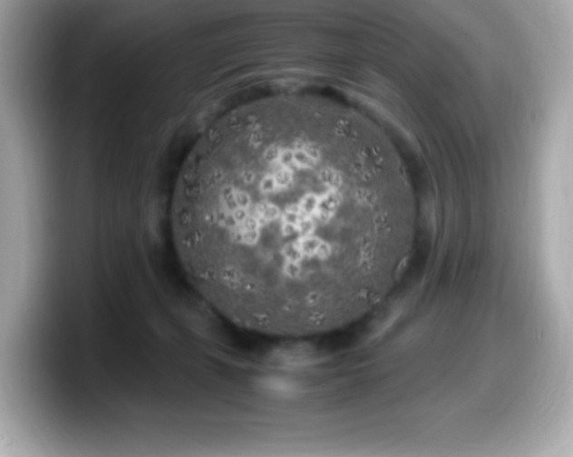 X0000099930271200805231237