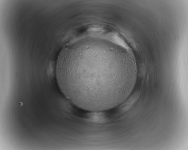 X0000099930273200805231237