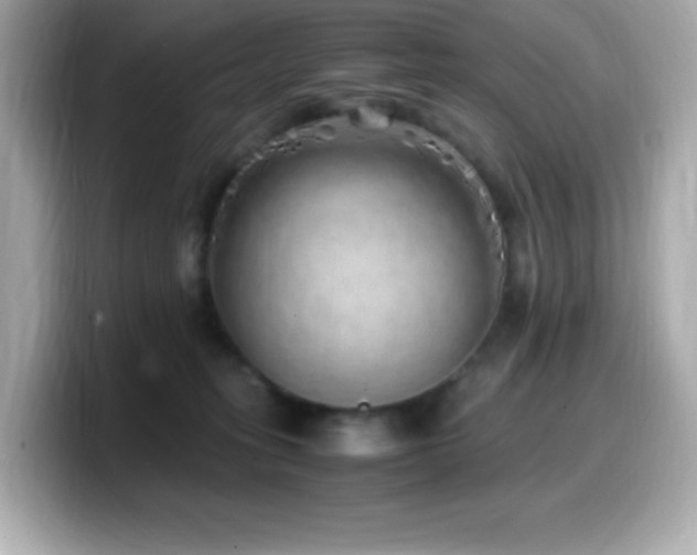 X0000099930275200805231237