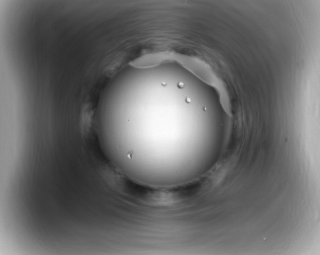 X0000099930276200805231237