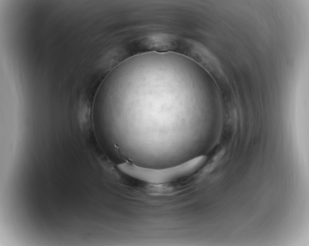 X0000099930281200805231237