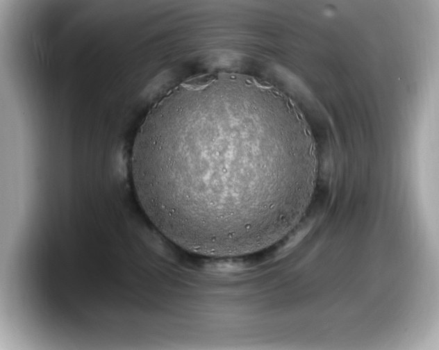 X0000099930282200805231237