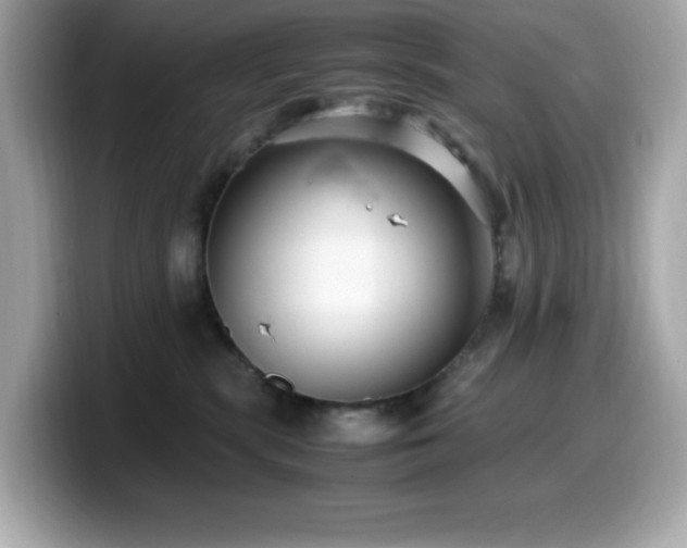 X0000099930283200805231237