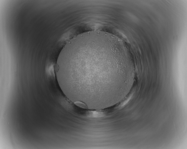 X0000099930286200805231237