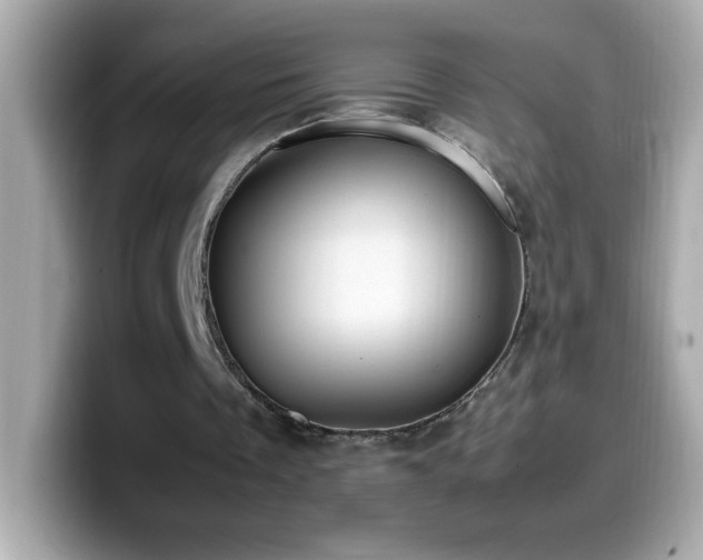 X0000099930289200805231236