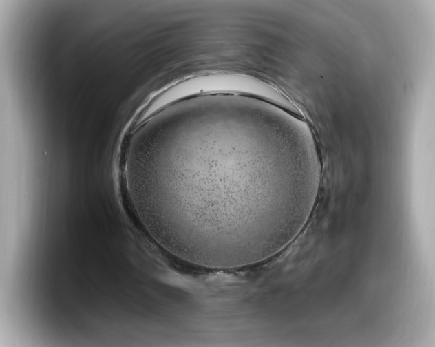 X0000099930290200805231236