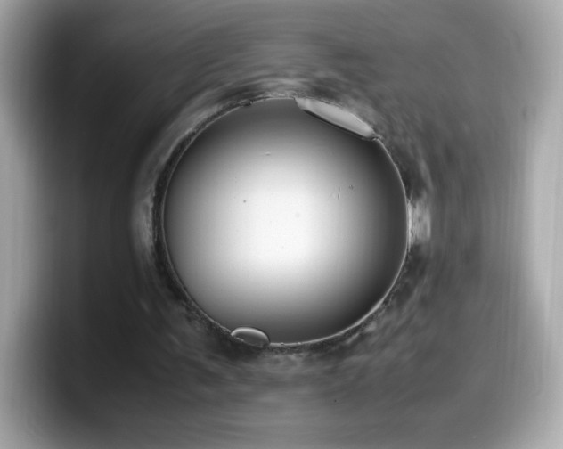 X0000099930291200805231236