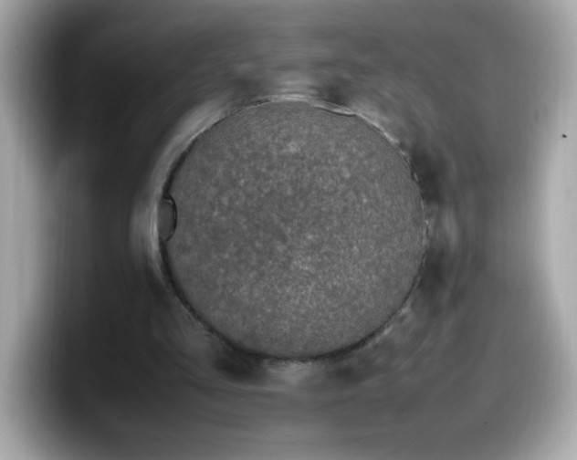 X0000099930293200805231236