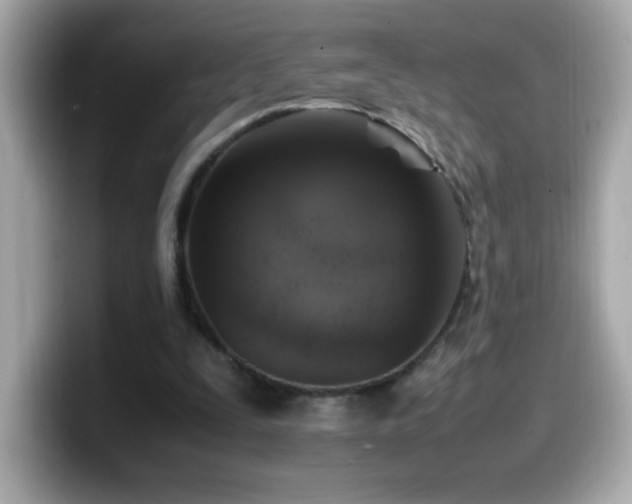 X0000099930295200805231236