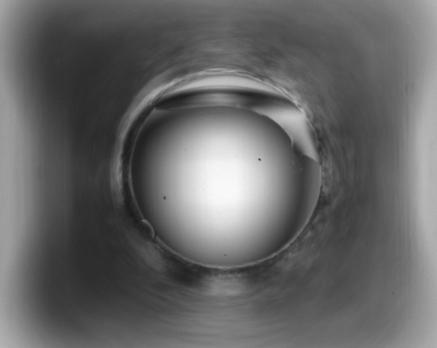 X0000099930296200805231236