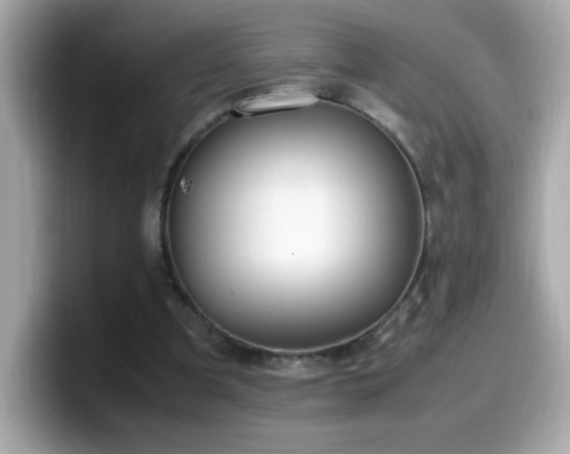 X0000099930297200805231236