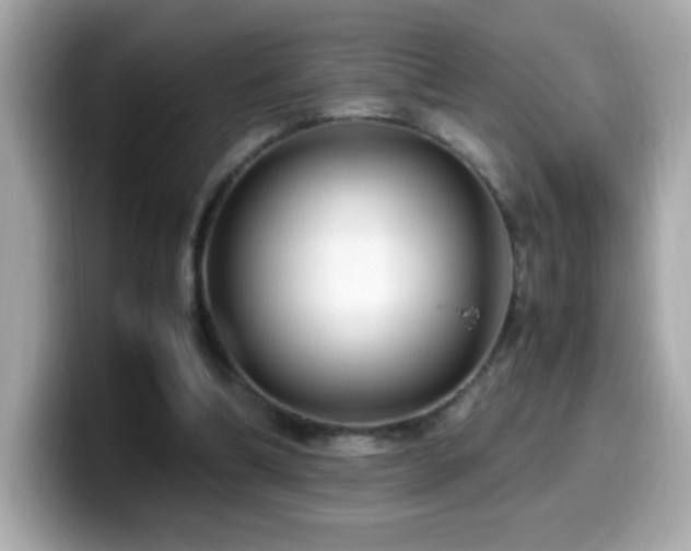 X0000099930298200805231236