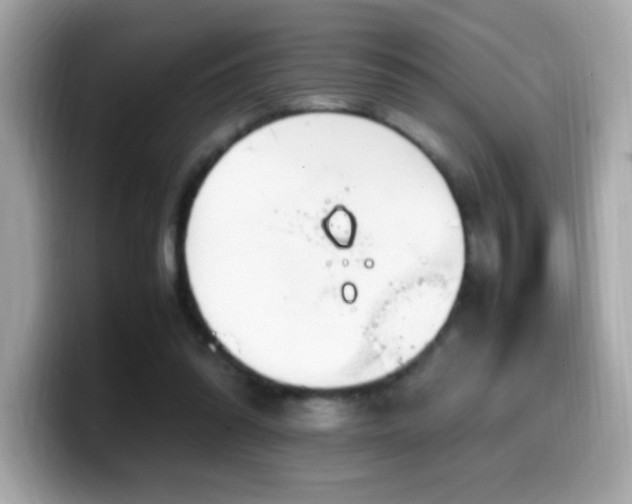 X0000099930302200805231236